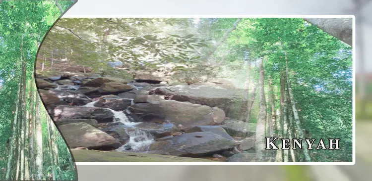 kenyah